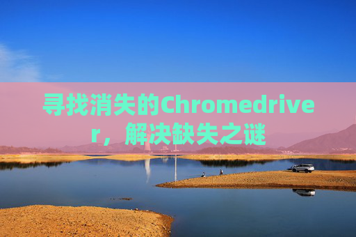 寻找消失的Chromedriver，解决缺失之谜