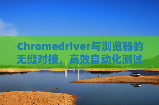 Chromedriver与浏览器的无缝对接，高效自动化测试的利器