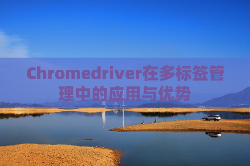 Chromedriver在多标签管理中的应用与优势